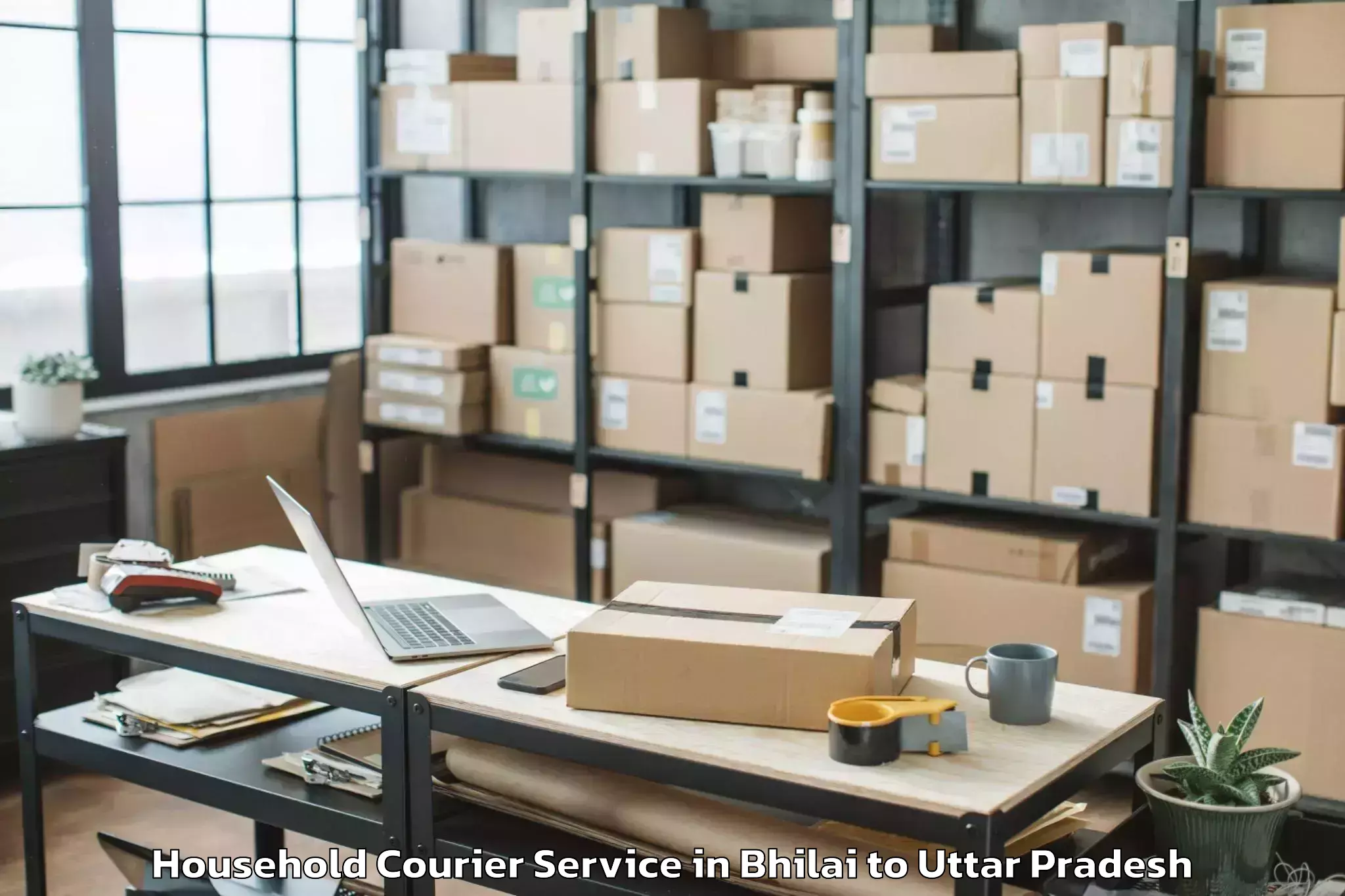 Top Bhilai to Afzalgarh Household Courier Available